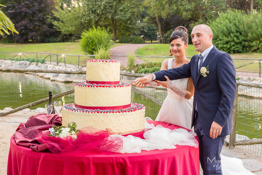 taglio torta parco le cicogne novara servizio fotografico matrimonio