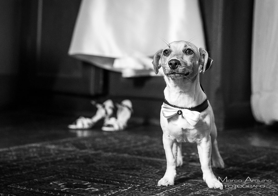 fotografo matrimonio castello san sebastiano po torino